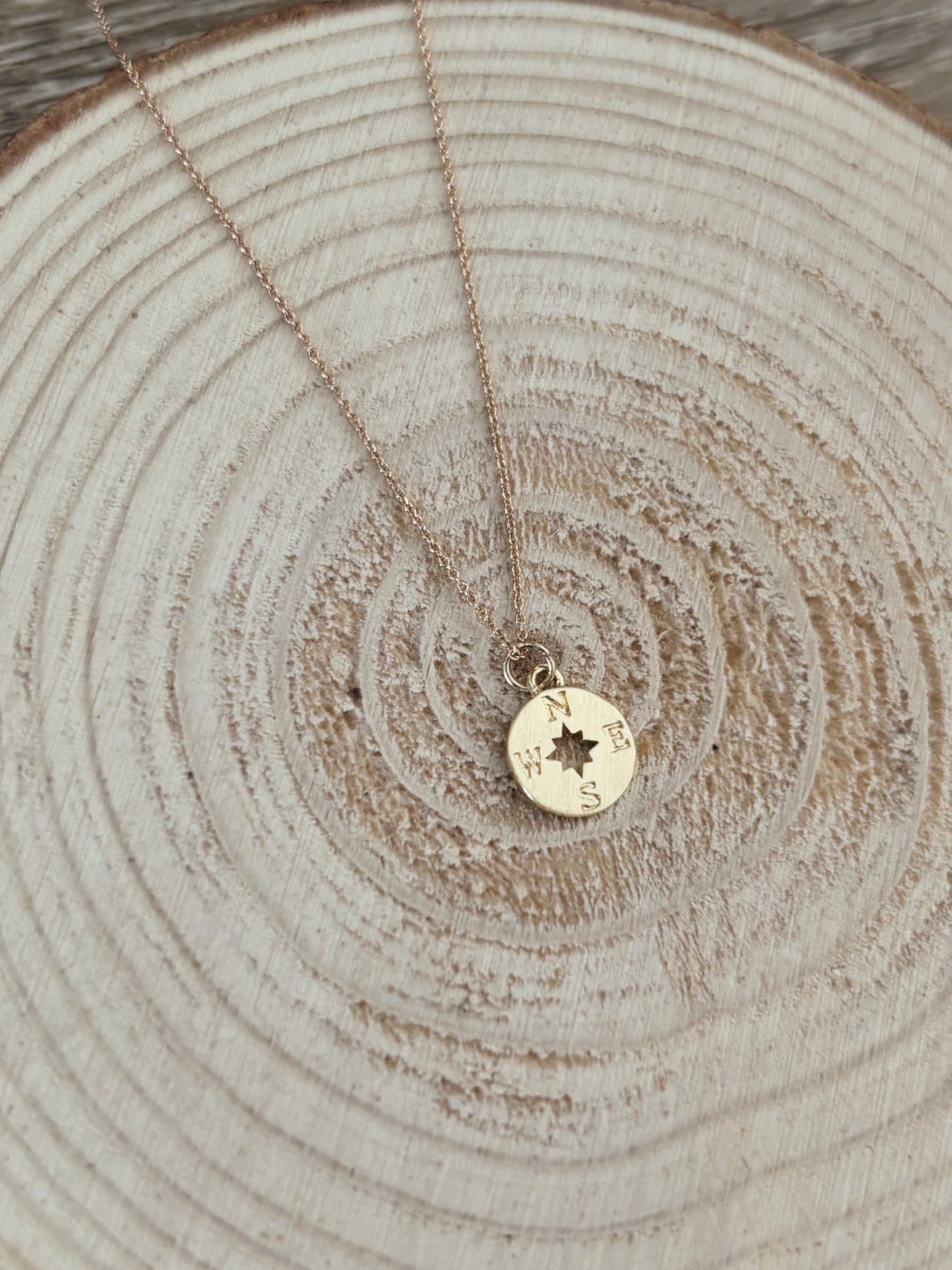 dainty compass necklace